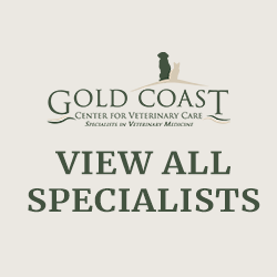 veterinary-specialists-gold-coast-ny-8.png