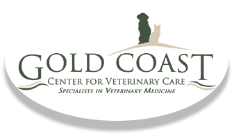 Specialty Veterinary Care in Long Island NY